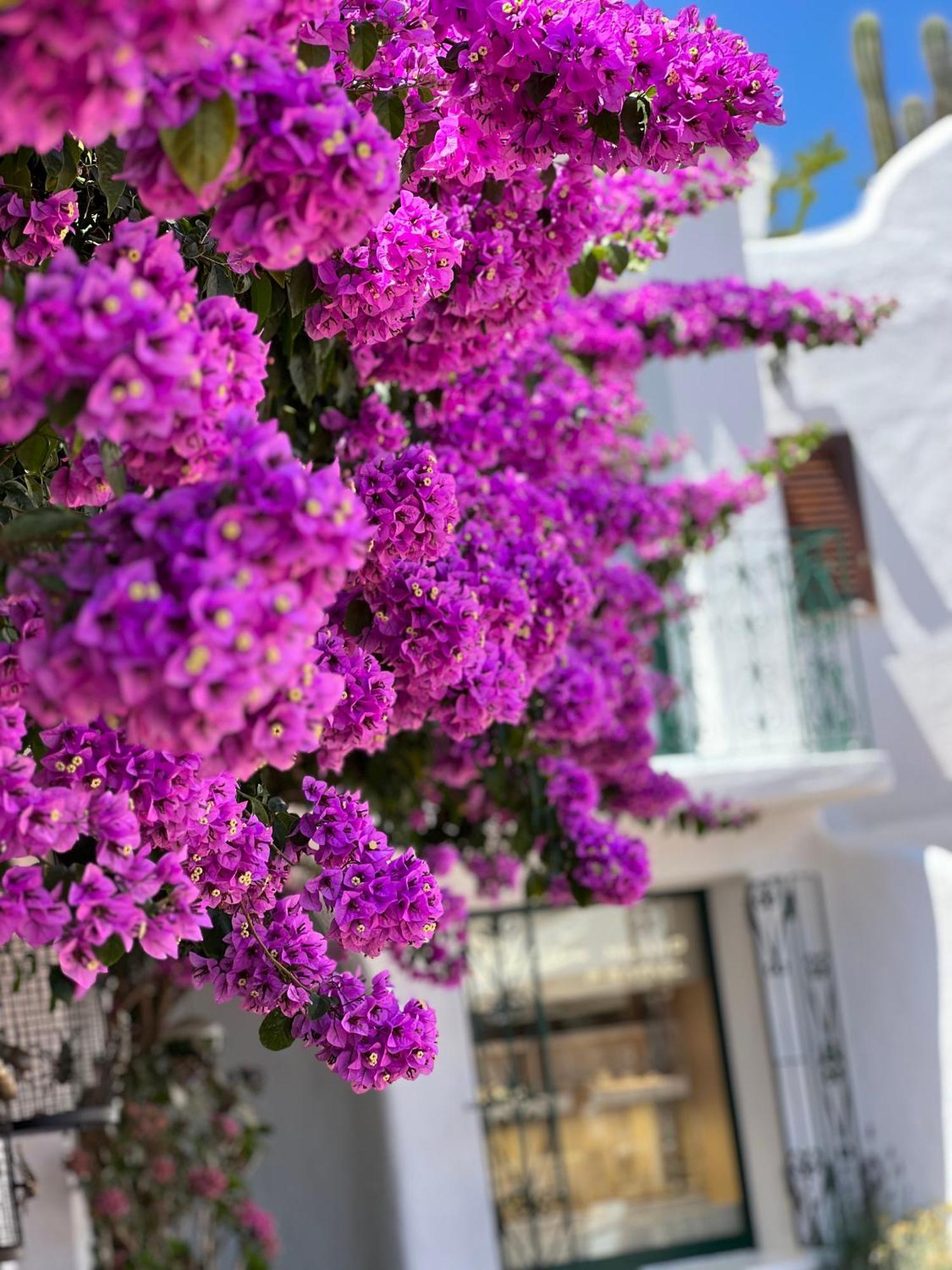 Boutique Hotel Solaz Порто-Рафаэль Экстерьер фото